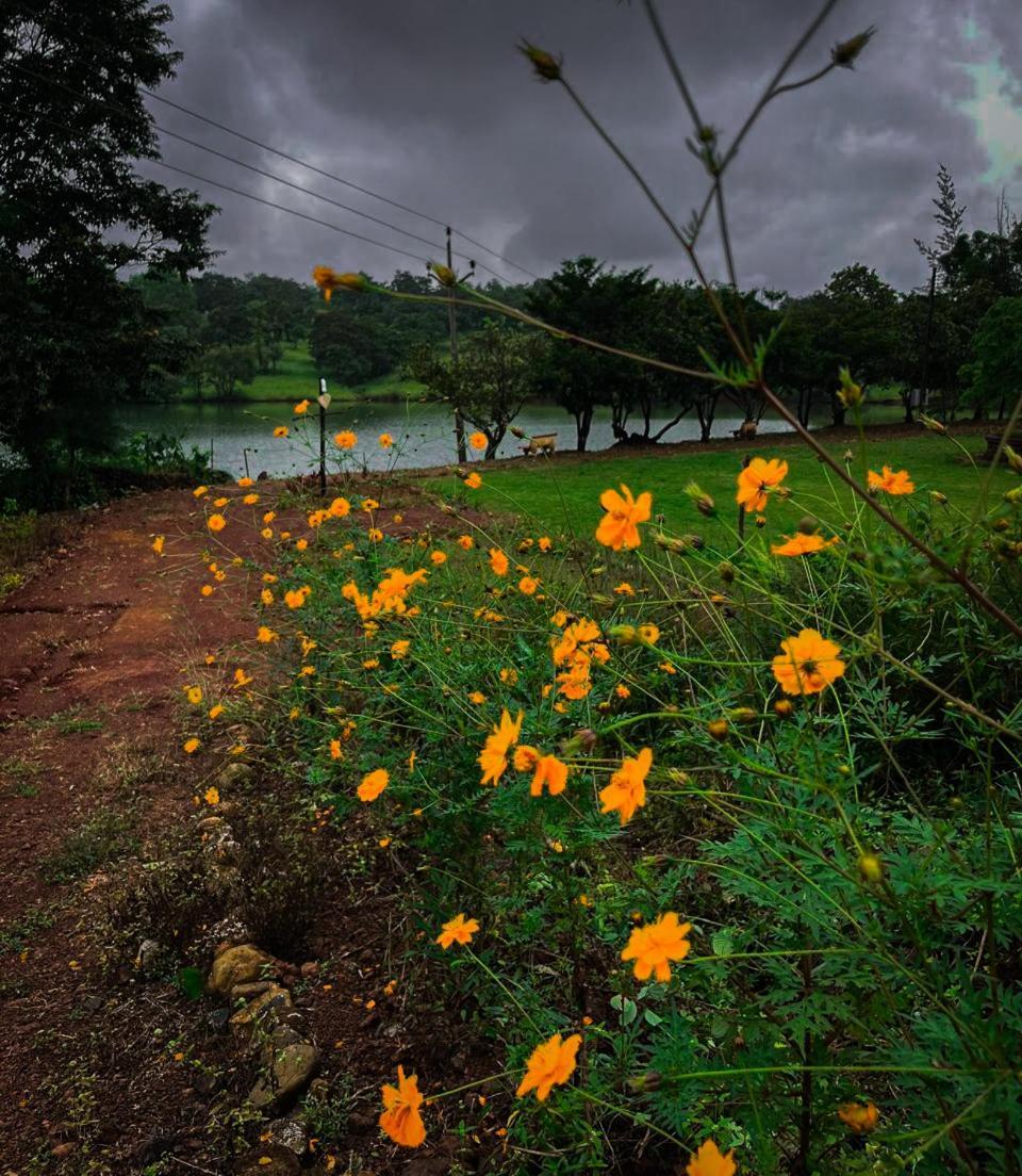 Chalobahills Farmstay Resort Ajra Bagian luar foto